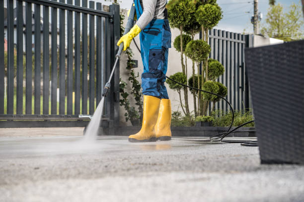 Animal Enclosure Cleaning in Penryn, CA